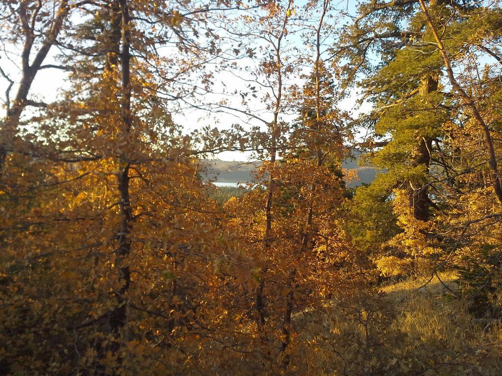 Hillcrest Suites & Cabins Big Bear Lake Zewnętrze zdjęcie